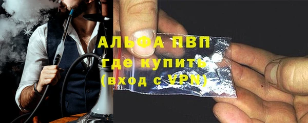 прущие грибы Верхний Тагил