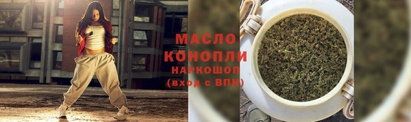крисы Бородино
