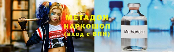 крисы Бородино