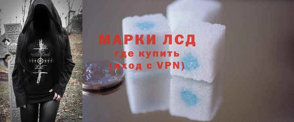 прущие грибы Верхний Тагил
