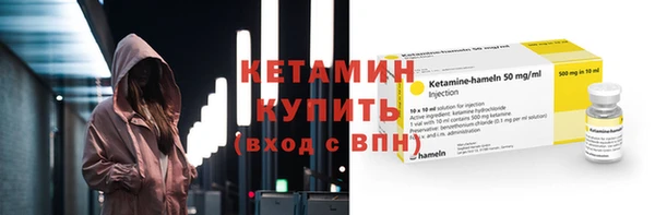 крисы Бородино