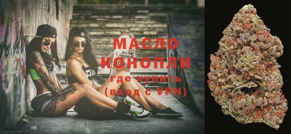 крисы Бородино