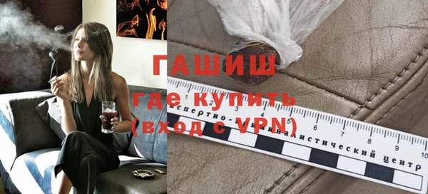 крисы Бородино