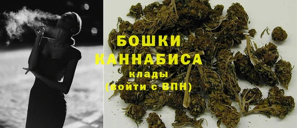 крисы Бородино