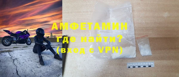 прущие грибы Верхний Тагил