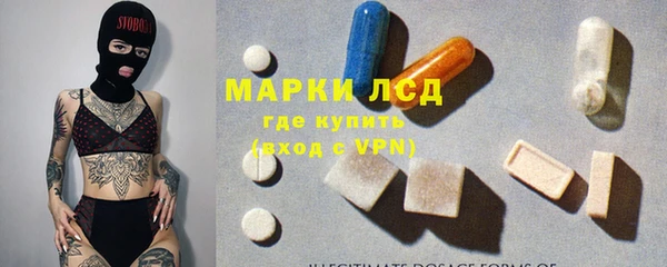крисы Бородино