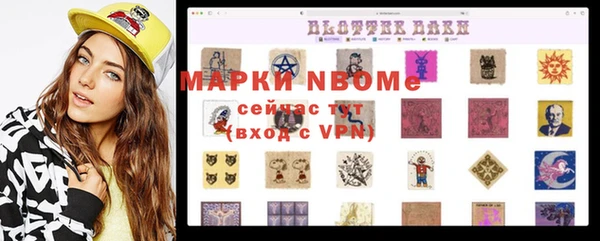 крисы Бородино